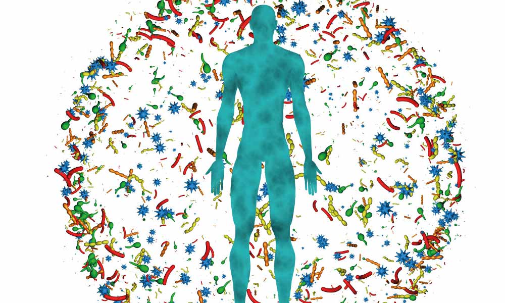 Batteri? Sì grazie!