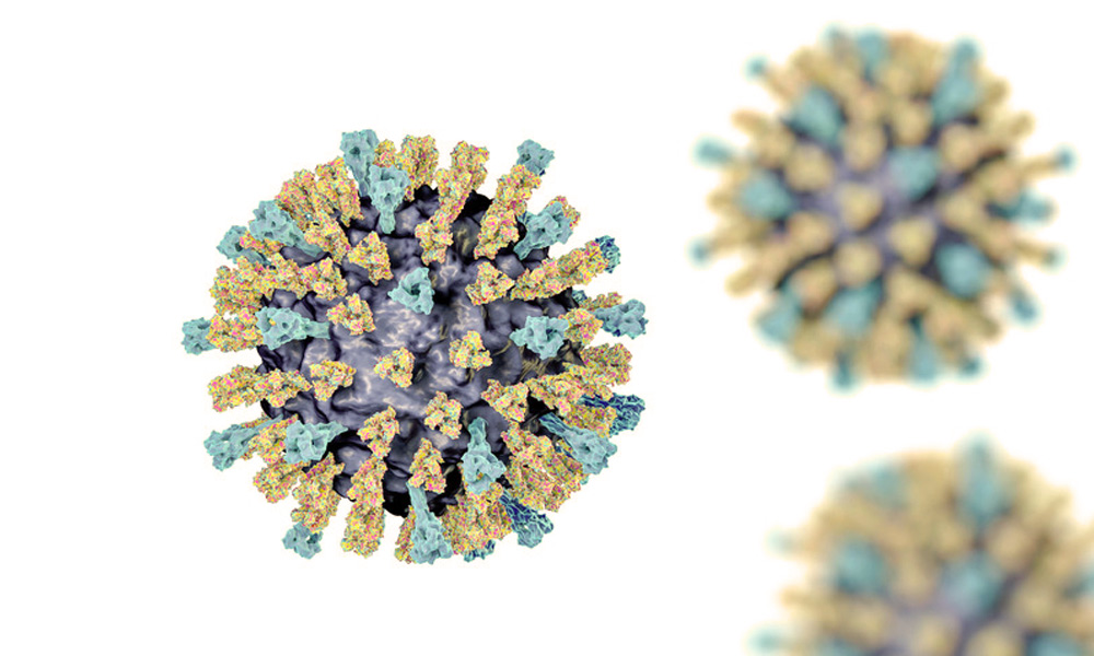 Casi di morbillo in Italia