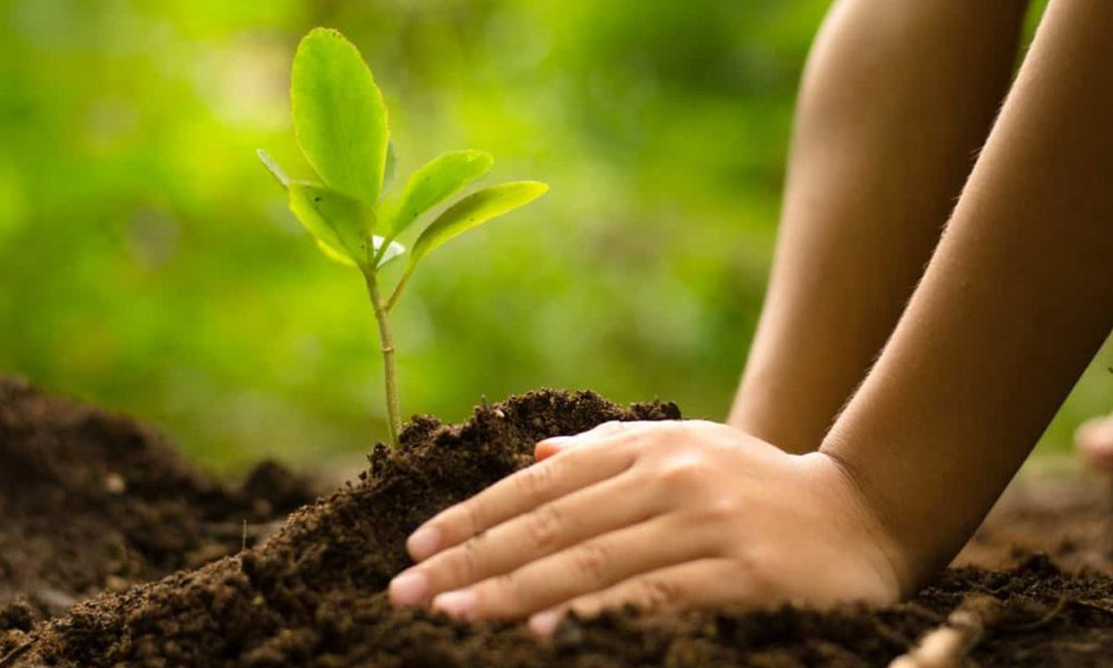 Comunicazione alla clientela