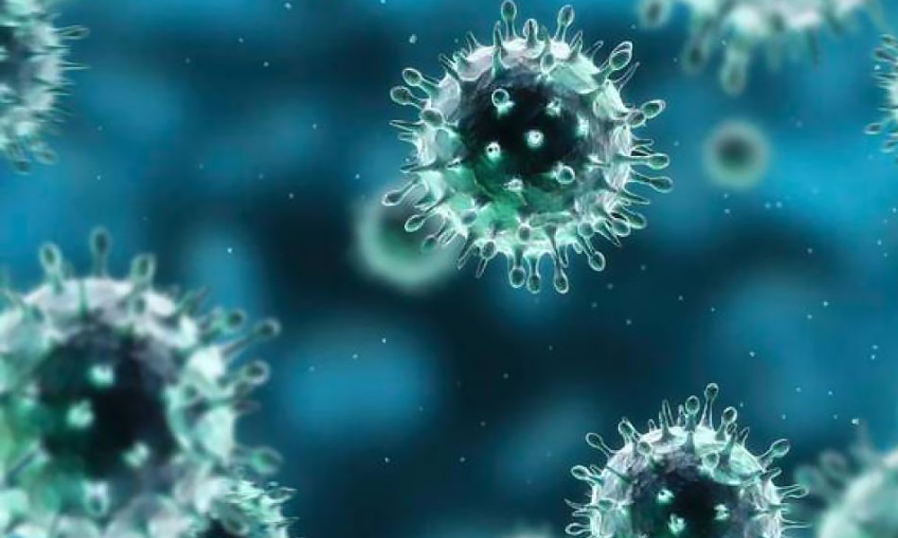 A proposito di Coronavirus