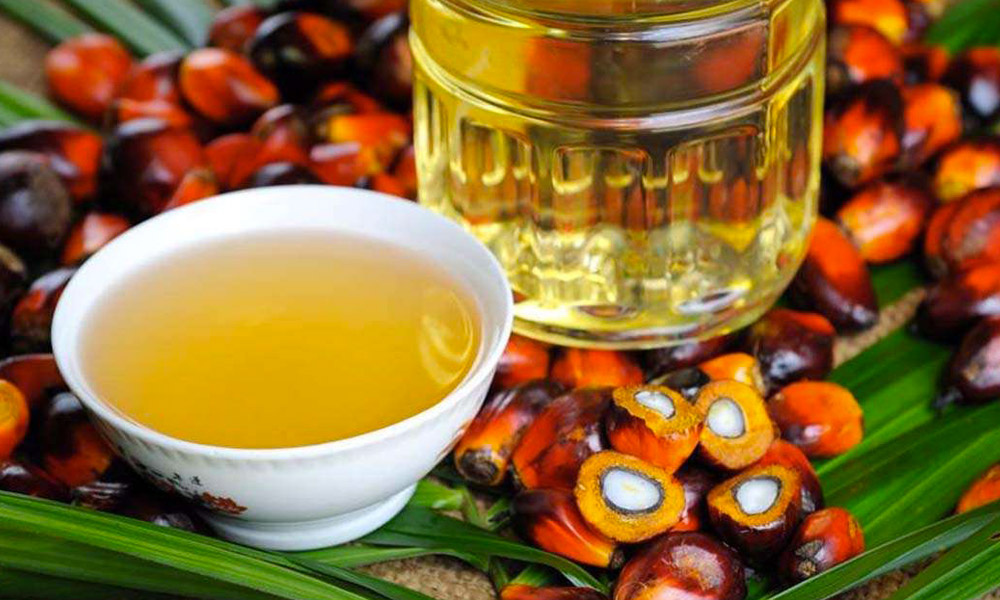 Olio di palma: dubbi e fatti