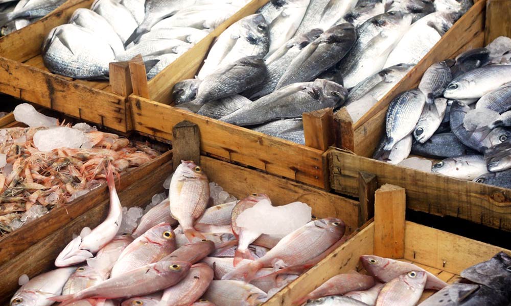 Pesce al “Mercurio”